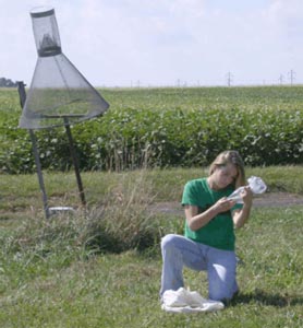 Image of student with insect trap